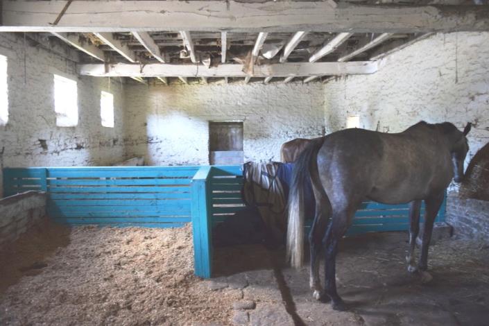 Image No.20-5 Bed House for sale