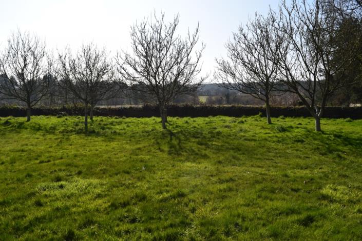 Image No.20-Maison de 4 chambres à vendre à Scaër