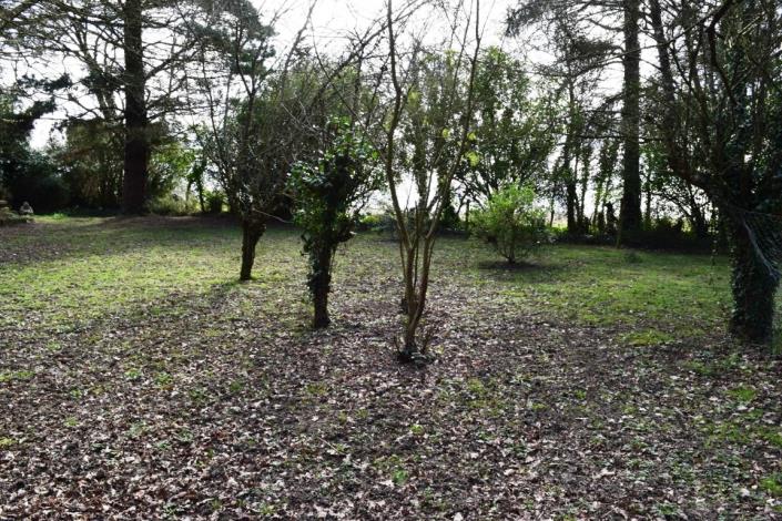 Image No.4-Maison de 4 chambres à vendre à Locarn