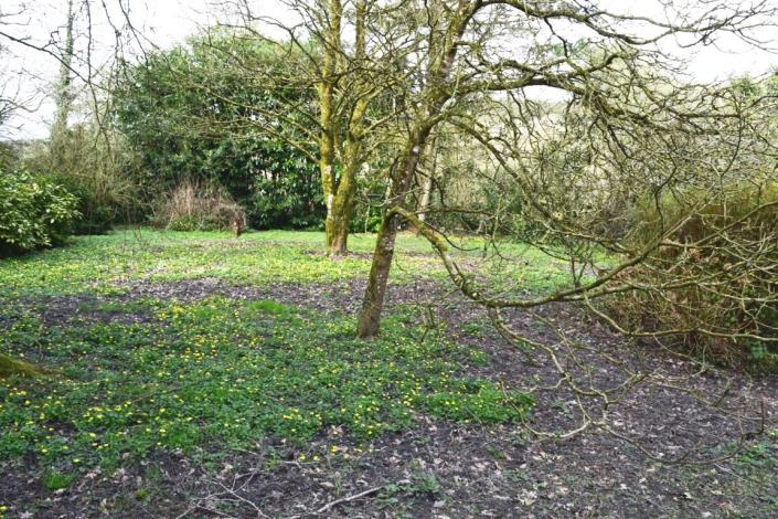 Image No.27-Maison de 4 chambres à vendre à Locarn