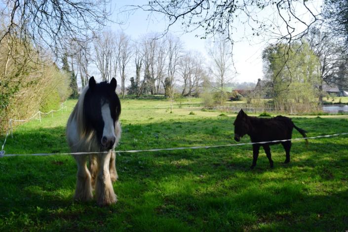 Image No.3-3 Bed House for sale