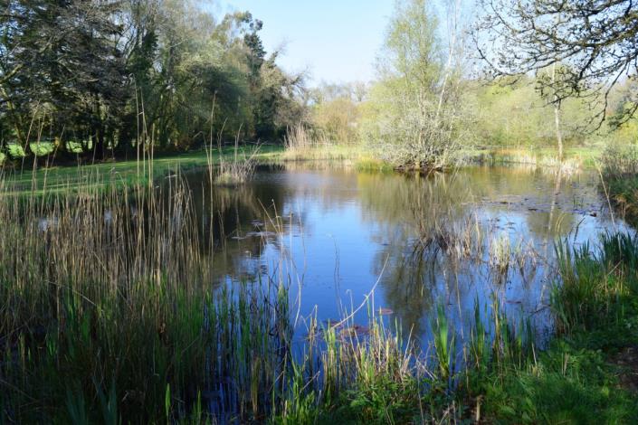 Image No.4-3 Bed House for sale