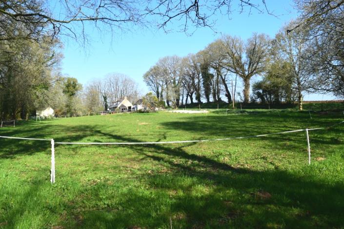 Image No.27-3 Bed House for sale