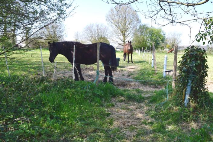 Image No.3-Maison de 2 chambres à vendre à Plouguenast