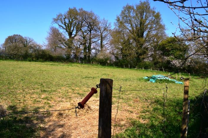 Image No.15-Maison de 2 chambres à vendre à Plouguenast