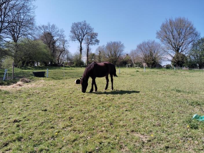 Image No.16-Maison de 2 chambres à vendre à Plouguenast