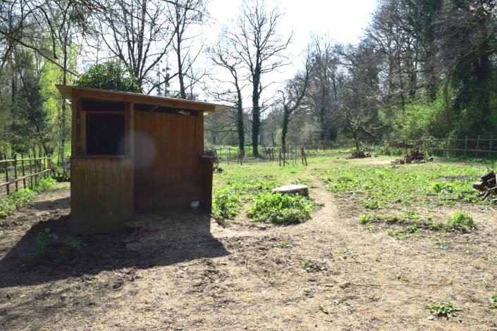 Image No.25-Maison de 4 chambres à vendre à Plouguenast