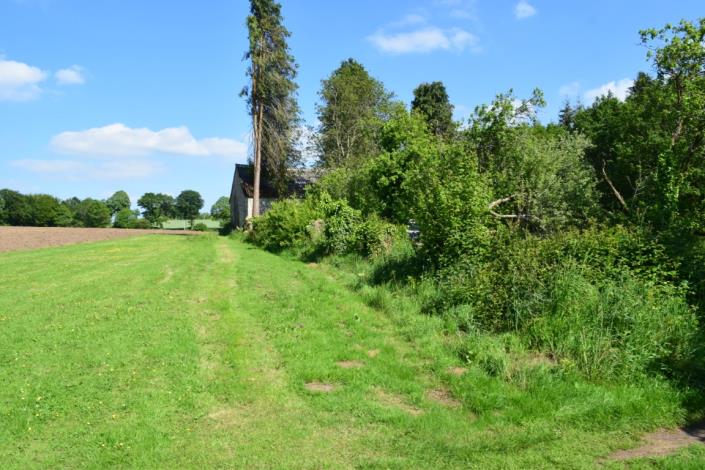 Image No.20-Maison de 5 chambres à vendre à Ploërdut