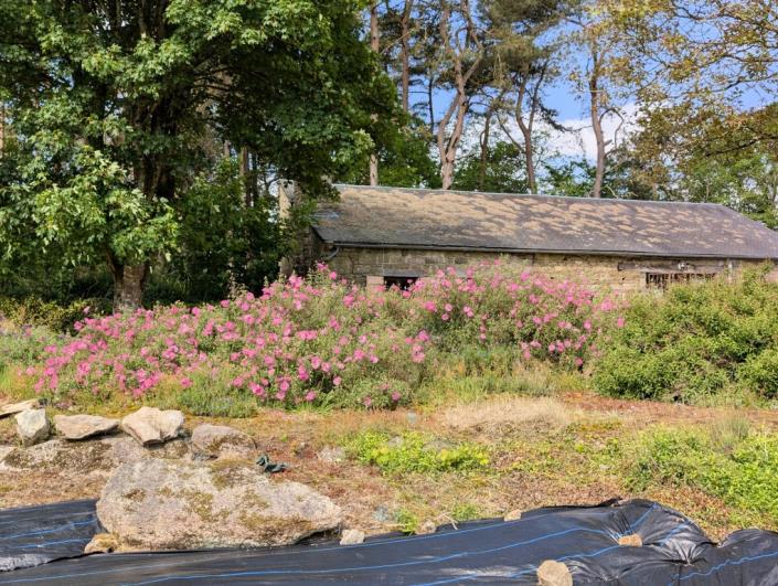 Image No.35-9 Bed Gite for sale