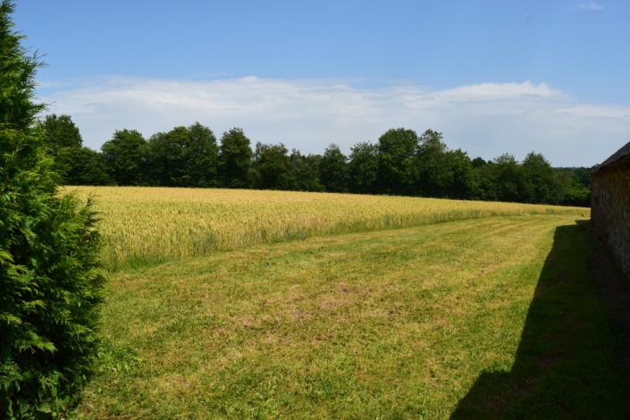 Image No.38-11 Bed House for sale