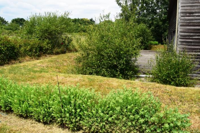 Image No.17-Maison de 4 chambres à vendre à Plémet