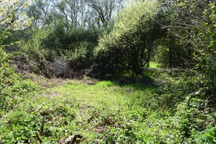 Image No.9-Maison de 2 chambres à vendre à Landeleau