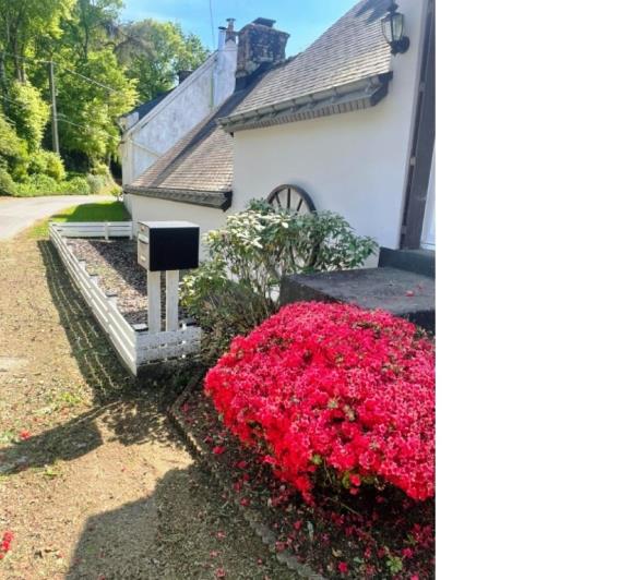 Image No.27-Maison de 4 chambres à vendre à Locmalo