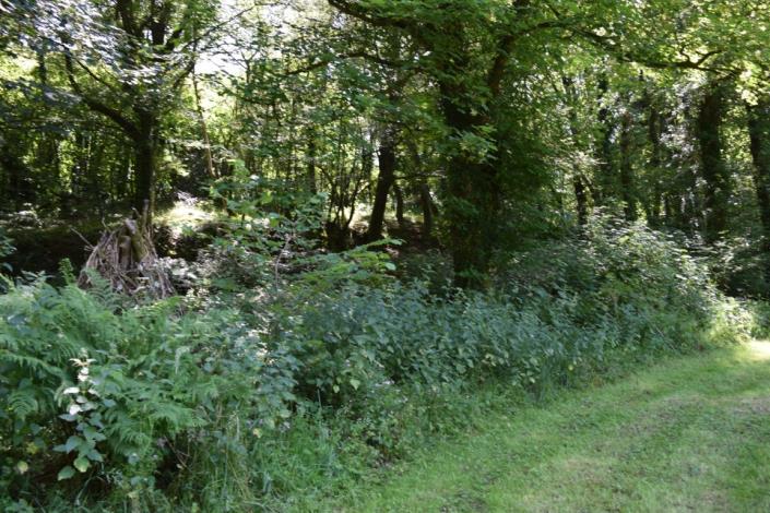 Image No.39-4 Bed House for sale