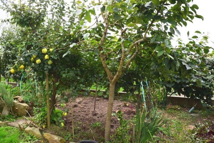 Image No.22-Maison de 4 chambres à vendre à Quimperlé