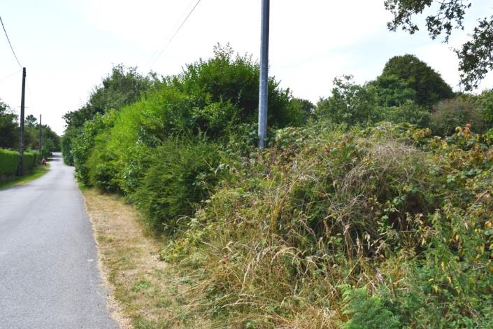 Image No.4-House for sale