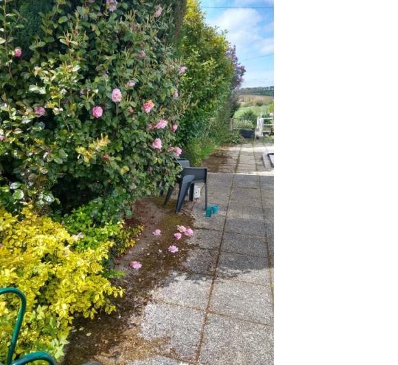 Image No.16-1 Bed House for sale