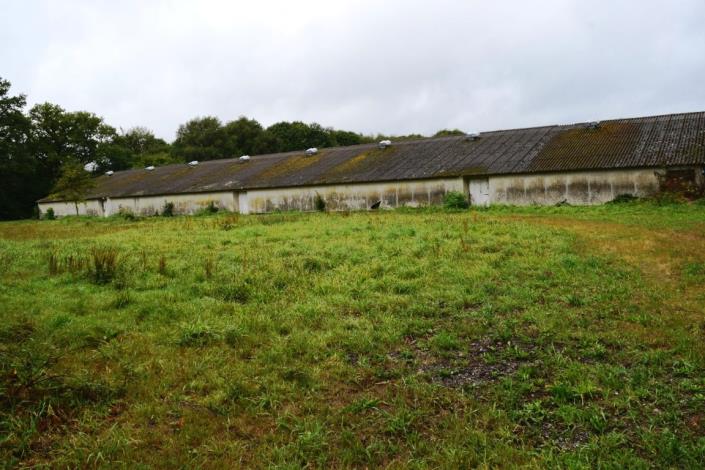 Image No.10-Barn for sale