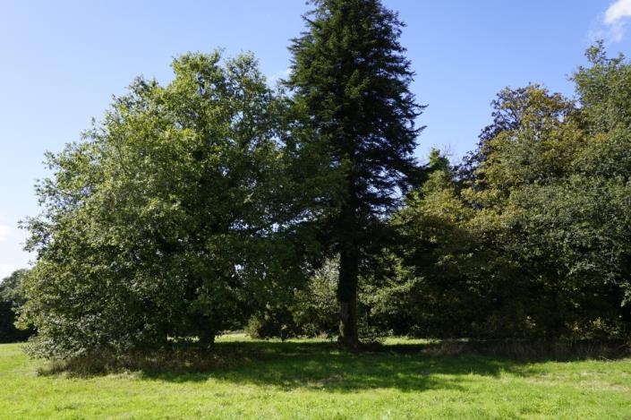 Image No.11-Barn for sale
