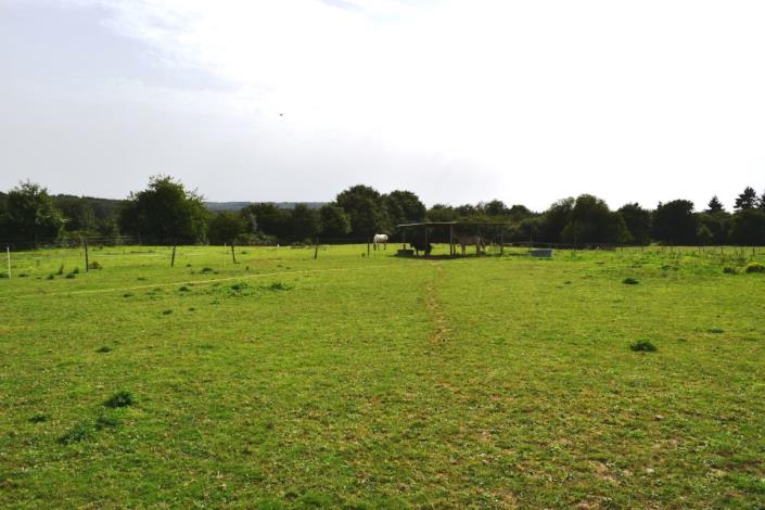 Image No.26-5 Bed House for sale