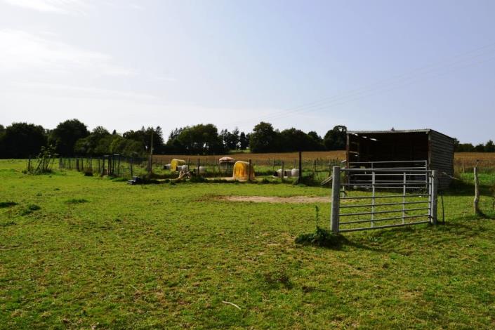 Image No.5-5 Bed House for sale