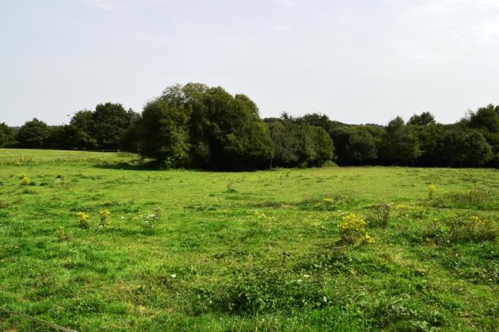 Image No.28-5 Bed House for sale