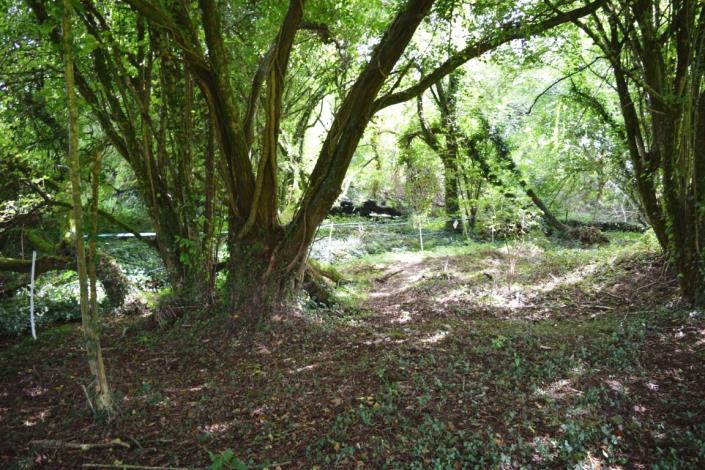 Image No.30-5 Bed House for sale