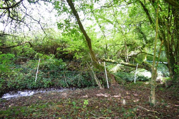 Image No.6-5 Bed House for sale