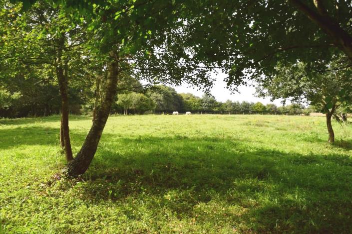 Image No.31-5 Bed House for sale