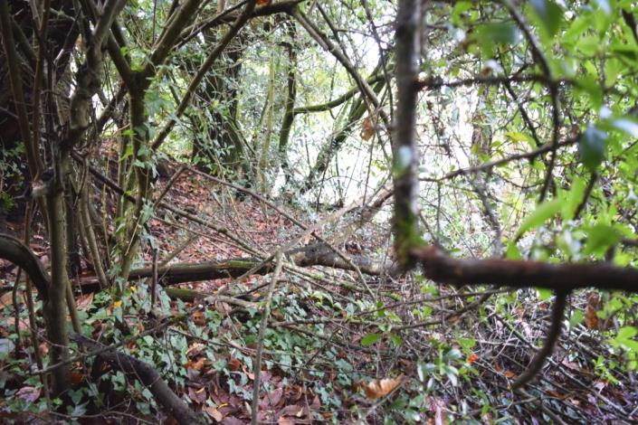 Image No.6-House for sale