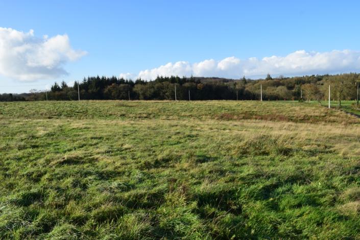 Image No.4-Maison de 2 chambres à vendre à Canihuel