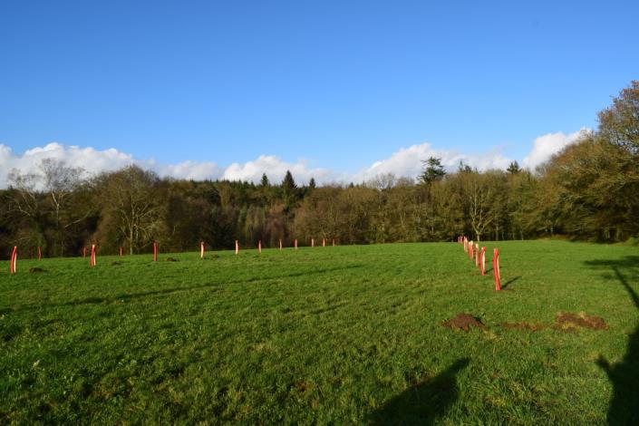 Image No.5-Maison de 2 chambres à vendre à Canihuel