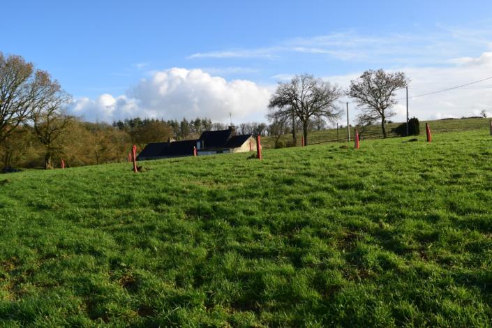 Image No.7-Maison de 2 chambres à vendre à Canihuel