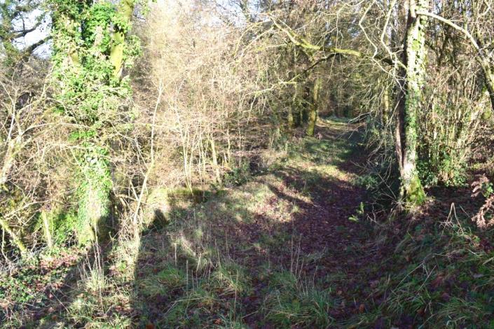 Image No.9-Maison de 2 chambres à vendre à Canihuel