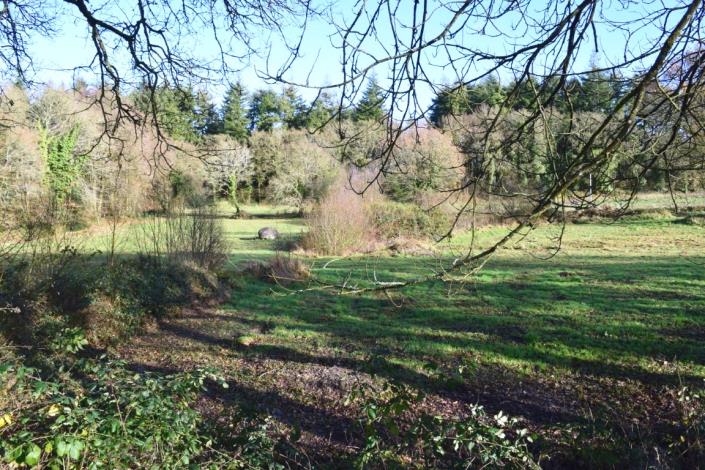 Image No.10-Maison de 2 chambres à vendre à Canihuel