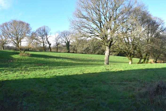 Image No.11-Maison de 2 chambres à vendre à Canihuel