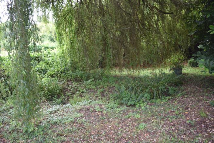 Image No.14-Maison de 1 chambre à vendre à Locmaria-Berrien