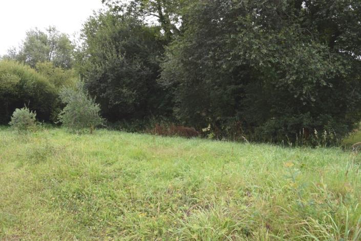 Image No.15-Maison de 1 chambre à vendre à Locmaria-Berrien