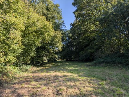 Image No.25-3 Bed House for sale