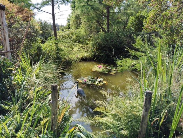 Image No.7-7 Bed House for sale