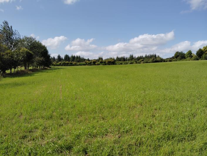 Image No.9-7 Bed House for sale