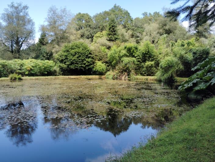 Image No.11-7 Bed House for sale