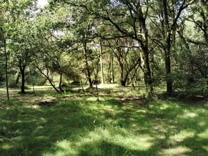 Image No.12-7 Bed House for sale