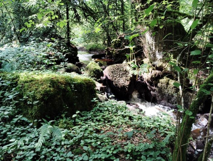 Image No.14-7 Bed House for sale