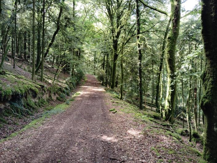 Image No.16-7 Bed House for sale