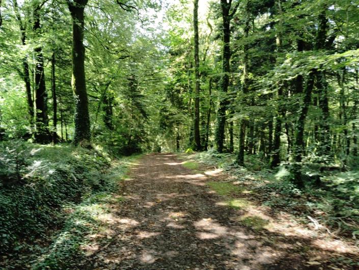 Image No.17-7 Bed House for sale