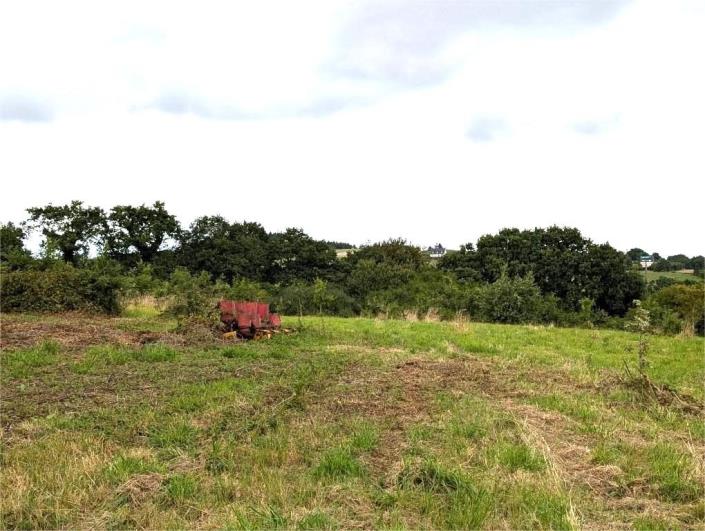 Image No.21-4 Bed House for sale