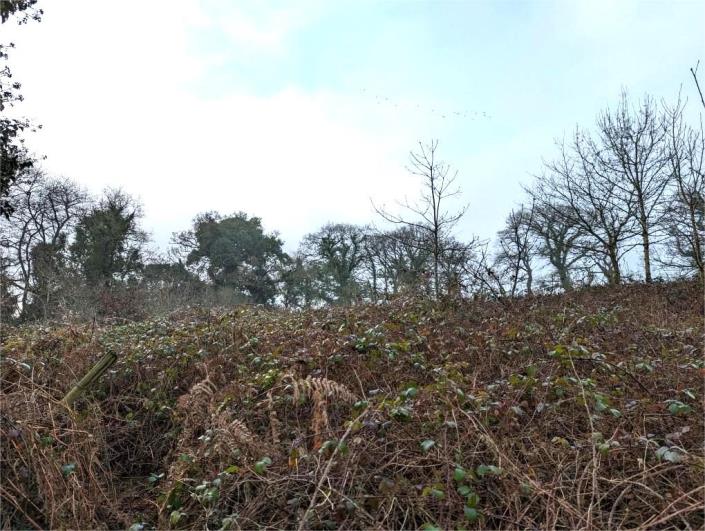 Image No.34-4 Bed House for sale