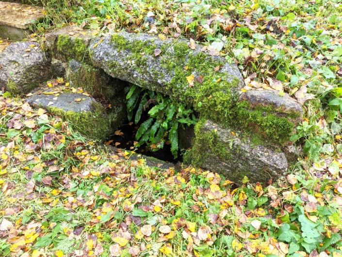 Image No.30-2 Bed House for sale