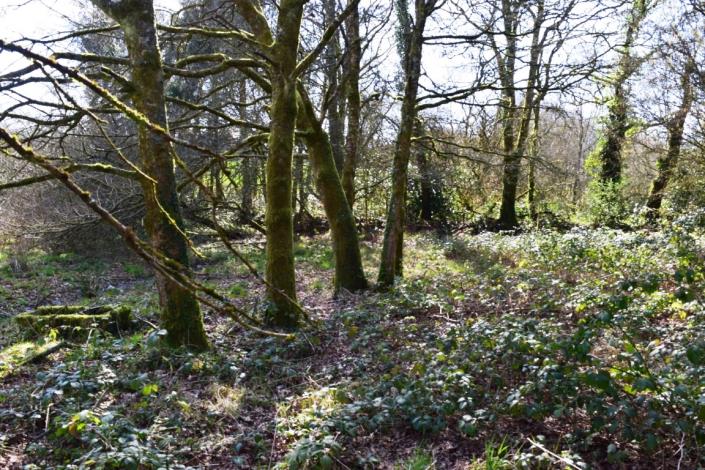 Image No.18-2 Bed House for sale